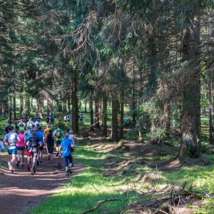 Group of athletes running through a forest