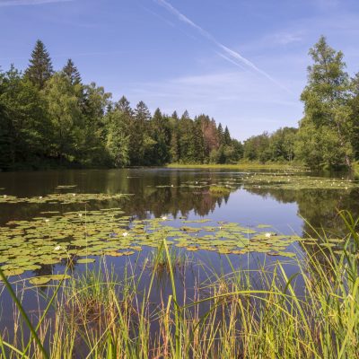 Alain_DOIRE__BFC_Tourisme-BFC_0016801
