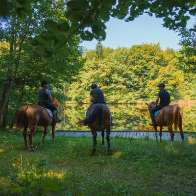 Tourisme Equestre 1000 Etangs - Maxime Nagely (4)